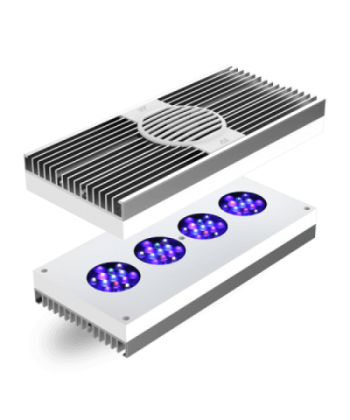 Hydra 64 HD LED - White-Silver or Black (incl EU 220V cable)