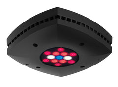 Ai PRIME Fuge