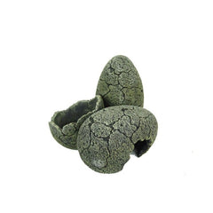 Terra Della eggs L