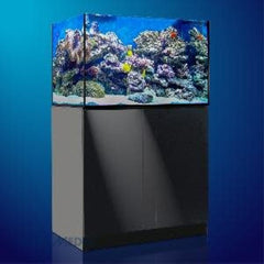Aqua Medic Xenia 100
