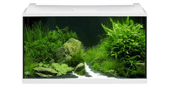 EHEIM AQUARIUM AQUAPROLED 126  80X35X45 CM 1X13W