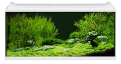 EHEIM AQUARIUM AQUAPROLED 180 100X40X45 CM 1X17W