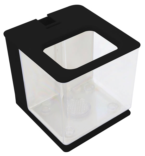PLASTIC BETTA TANK 17X18X16.5 CM ZWART