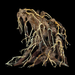 Bonsai Root Medium