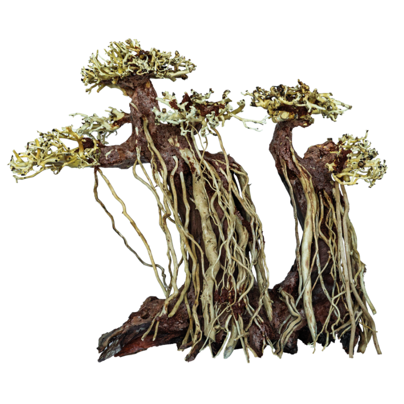 SuperFish Bonsai Twin Tree Large