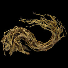 SuperFish Bonsai Wave Large