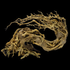 SuperFish Bonsai Wave Medium