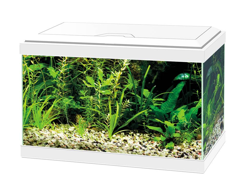 Ciano Aqua 20 LED