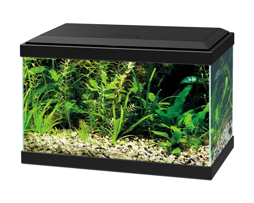 Ciano Aqua 20 LED