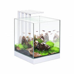 Ciano Nexus Pure LED