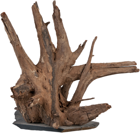 sera Scaper Wood