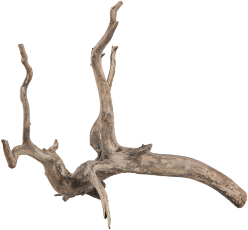 sera Scaper Root