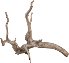 sera Scaper Root