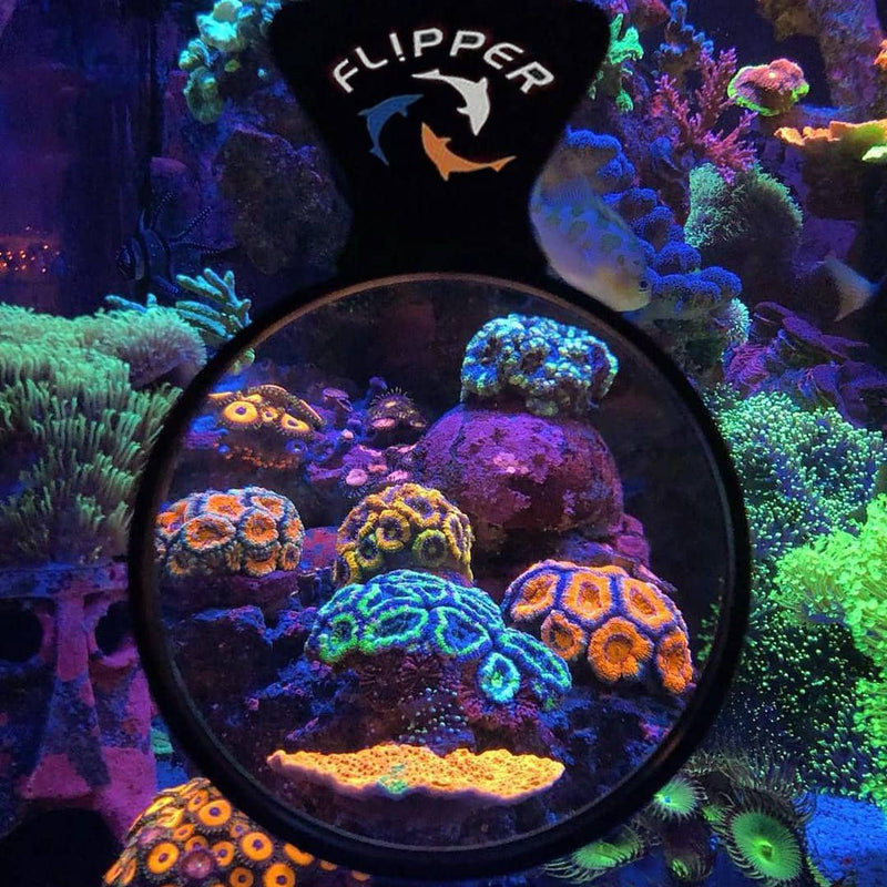 Magnetic Aquarium Vieuwer 4 inch