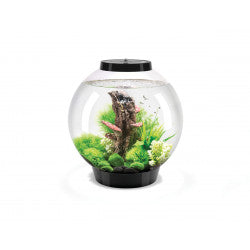biOrb CLASSIC 30 LED