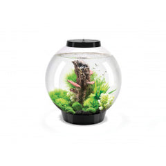 biOrb CLASSIC 30 LED
