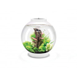 biOrb CLASSIC 30 LED