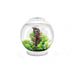biOrb CLASSIC 30 LED