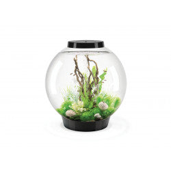 biOrb Classic 105 MCR