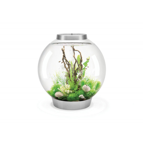 biOrb CLASSIC 105 MCR