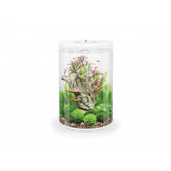 biOrb TUBE 30 MCR