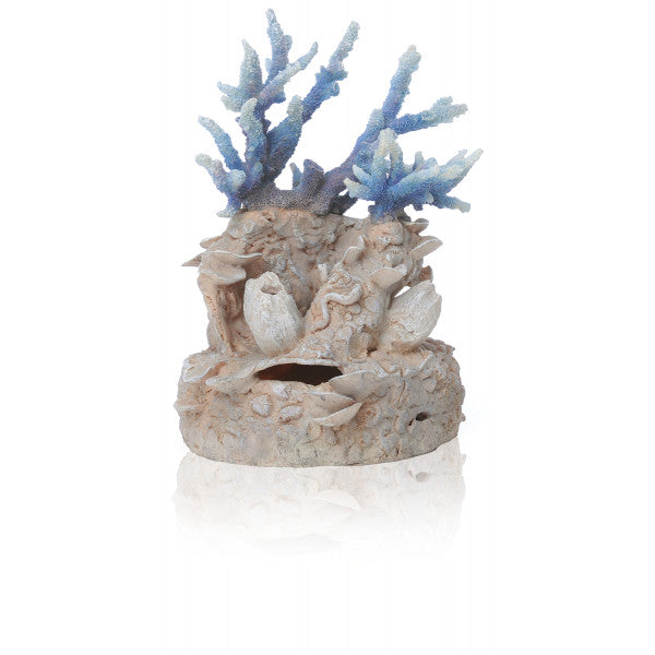 biOrb koraalrif ornament blauw