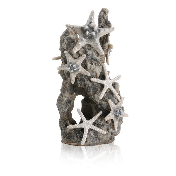 biOrb zeester rots ornament