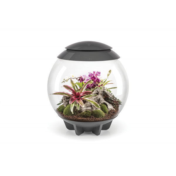 biOrb AIR 60