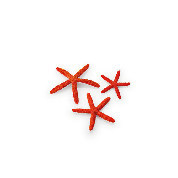 biOrb Set Zeesterren Rood
