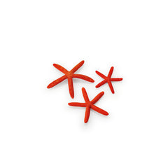 biOrb set zeesterren rood