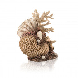 biOrb koraal & schelpen ornament naturel