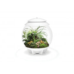biOrb AIR 30