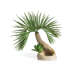 biOrb palmboom Seychelles S