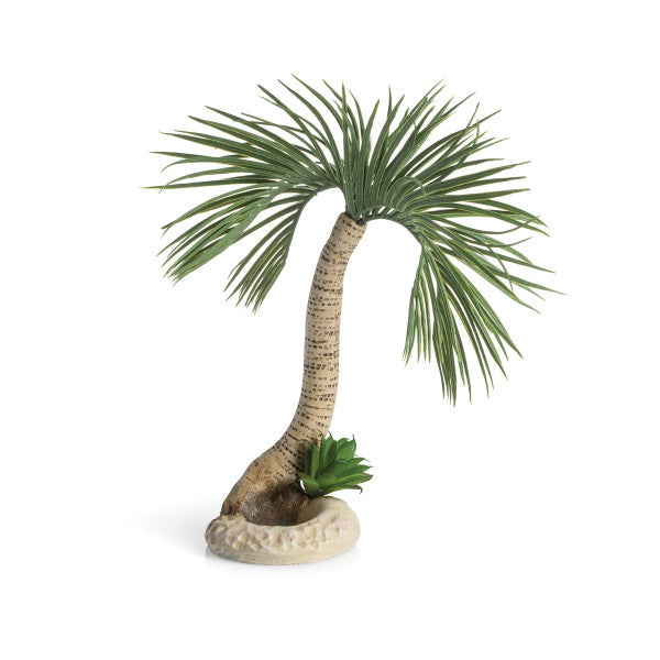 biOrb Palmboom Seychelles L