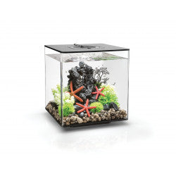 biOrb CUBE 30 LED