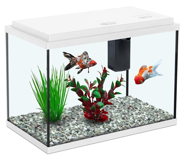 AQUATLANTIS FUNNY FISH 35 35X18X23.5 CM WIT