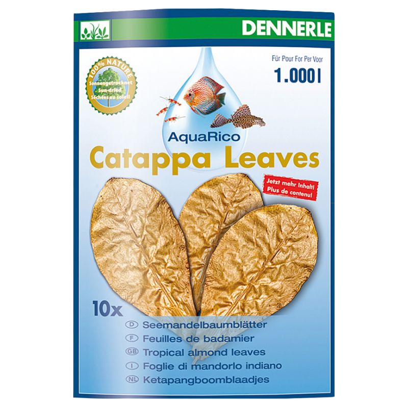 Dennerle Catappa Leaves