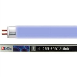 Red Sea Reef Spec Actinic 22000K