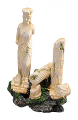 Europet Column M
