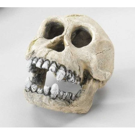 decor chimpansee 160 mm