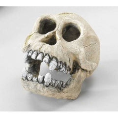 decor chimpansee 160 mm