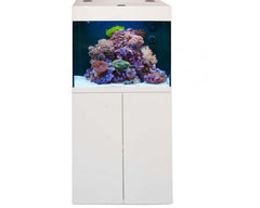 Aquamedic Kauderni Led Cf MET SUMP