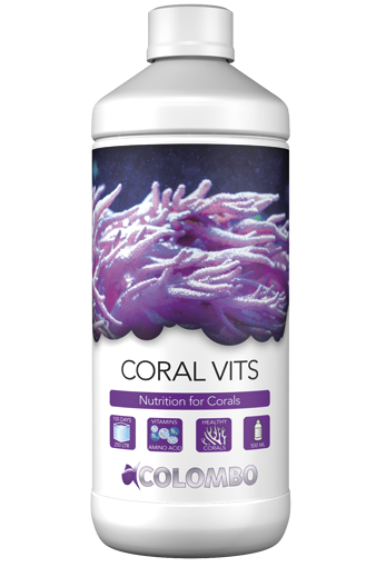 Colombo Marine Coral Vits
