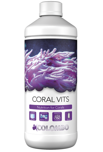 Colombo marine coral vits