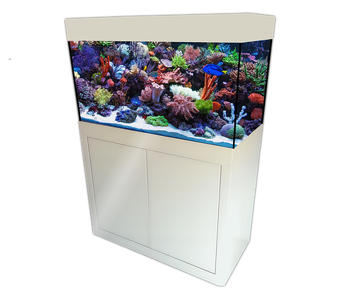 Ocean Dream 250 Plug and Play hoog glans
