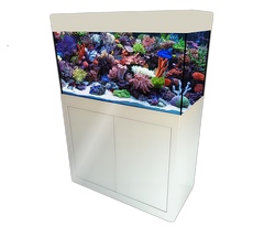 Ocean Dream 250 Plug and Play hoog glans