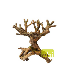 Decor della bonsai brown