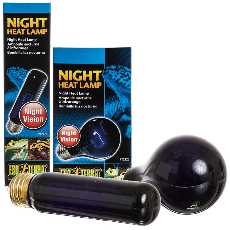 Exoterra Night Heat Lamp