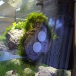 Wall Stone S 10-17 cm