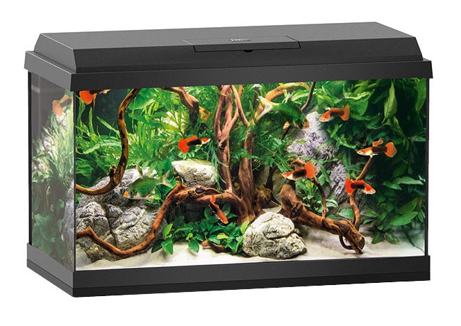 Juwel Primo 60 LED (zwart)